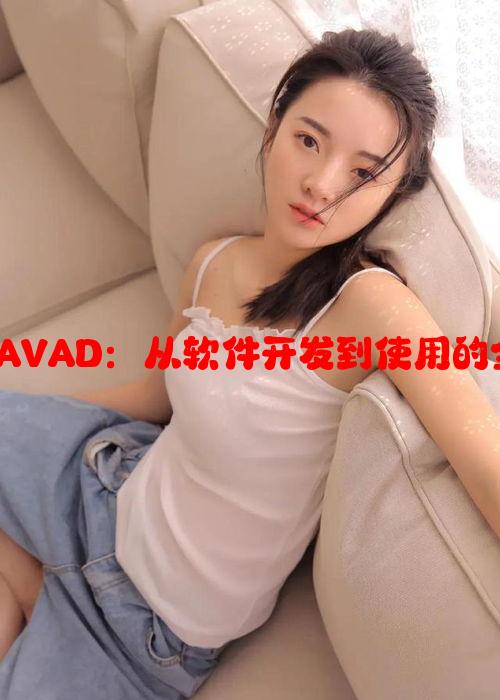 理解并JAVAD：从软件开发到使用的全面指南