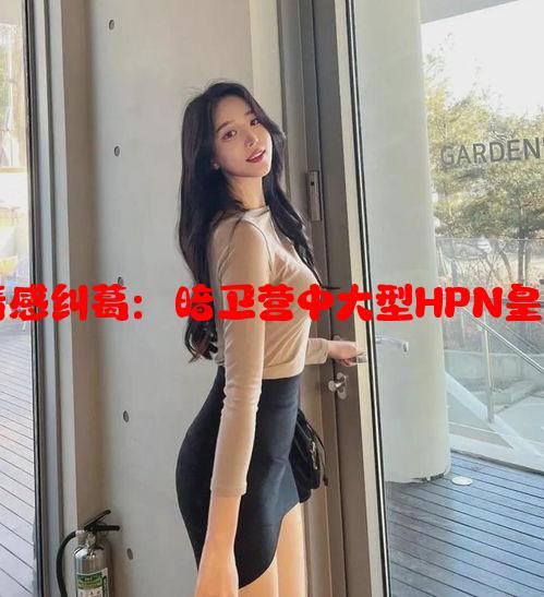 古代权谋与情感纠葛：暗卫营中大型HPN皇上的双面人生