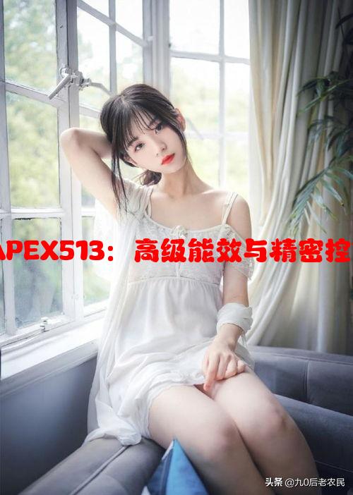 AE射频电源APEX513：高级能效与精密控制的完美结合