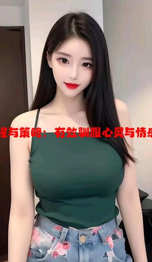 收服过程与策略：有效驯服心灵与情感的方法