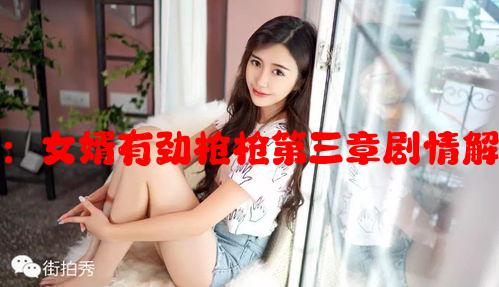 小说在线阅读：女婿有劲枪枪第三章剧情解析与人物分析