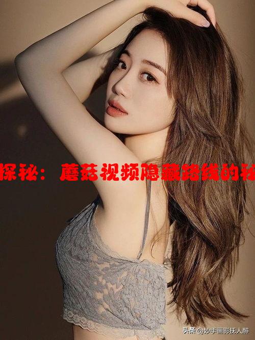 背后线路探秘：蘑菇视频隐藏路线的秘密与真相