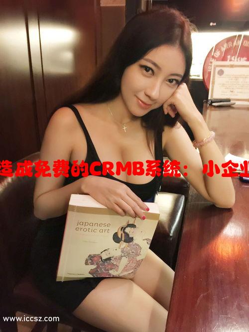 利用开放资源打造成免费的CRMB系统：小企业数字化管理方案