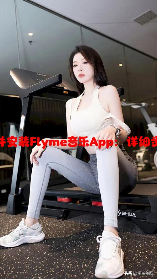 如何免费下载并安装Flyme音乐App：详细步骤和注意事项