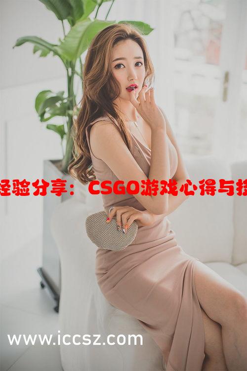 暴躁老阿姨经验分享：CSGO游戏心得与技巧视频解析