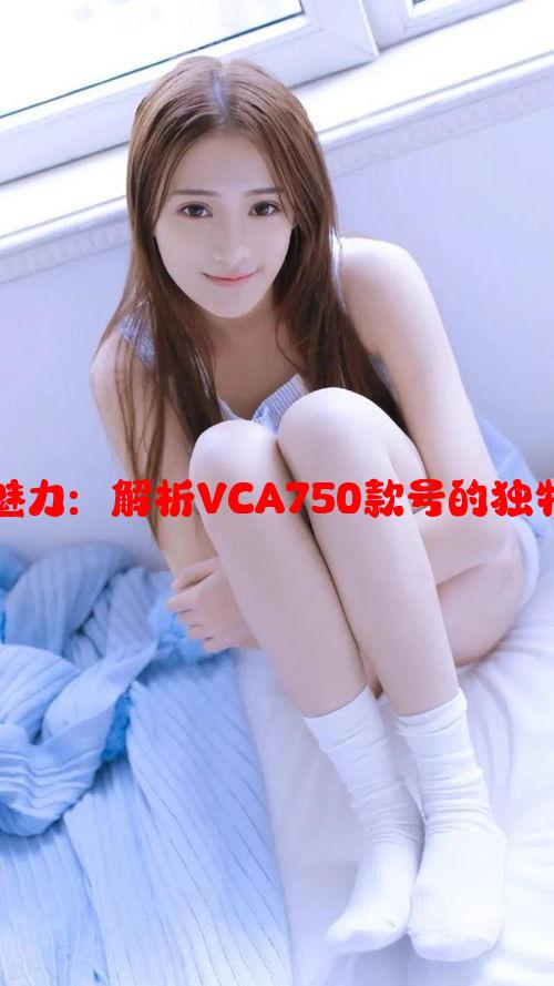 四叶草项链魅力：解析VCA750款号的独特设计与意义