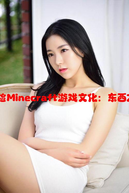 暴躁老外如何在中国体验Minecraft游戏文化：东西方玩家的互动与冲突分析